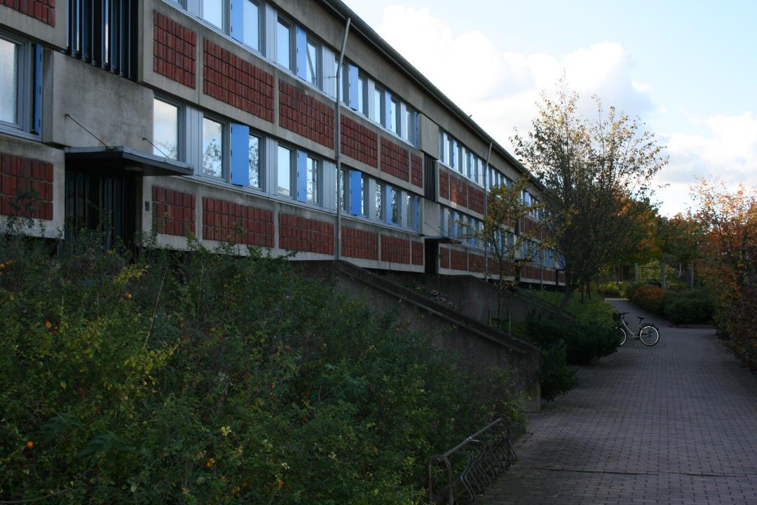 Image module